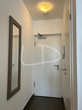 WhatsApp Image 2025-05-05 at 14.31.41 (16).jpeg